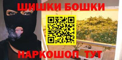 МДПВ Камышлов