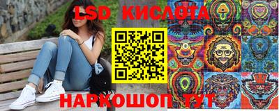 Альфа ПВП Кандалакша