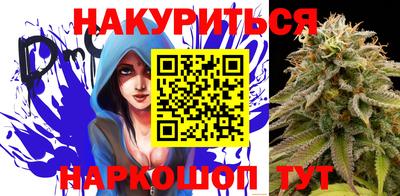 Альфа ПВП Кандалакша