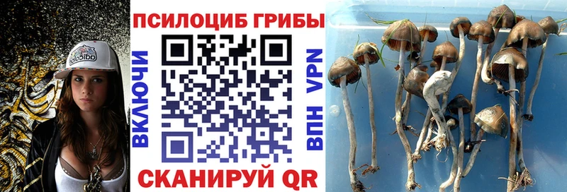 Галлюциногенные грибы прущие грибы Конаково