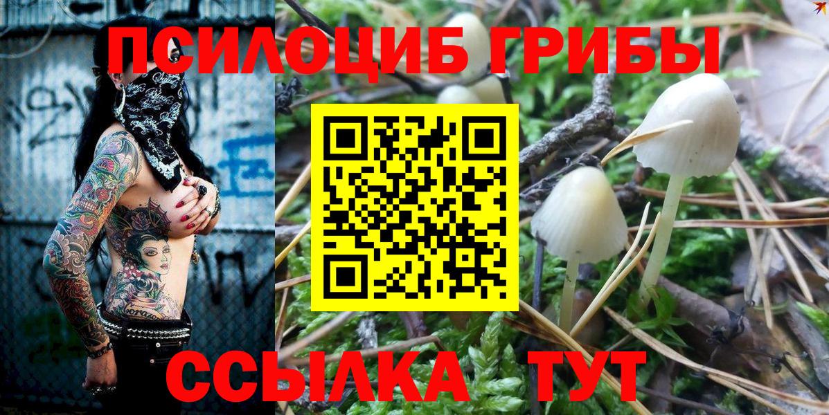 Галлюциногенные грибы ЛСД  Вход с VPN  Псилоцибиновые грибы мицелий  Конаково 