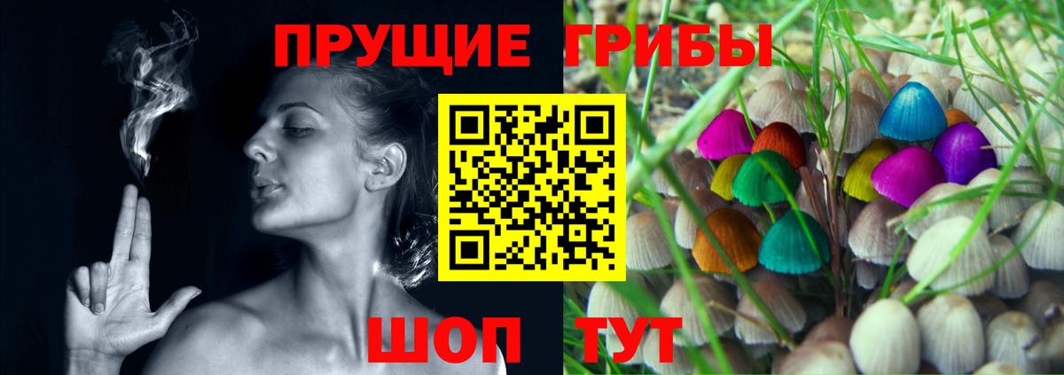 Галлюциногенные грибы прущие грибы Конаково